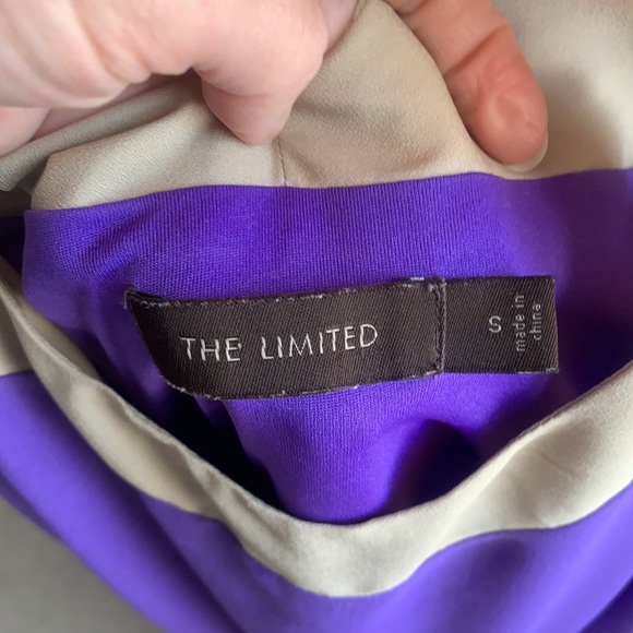 Limited Purple and Taupe Pleated Dress - Picture 2 of 3